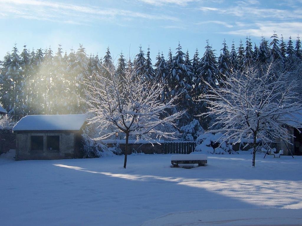 Le Faing Du Bray Bed & Breakfast Plombieres-les-Bains Bagian luar foto